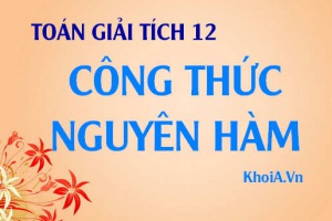 Công thức nguyên hàm của hàm sơ cấp và hàm hợp - Toán giải tích 12